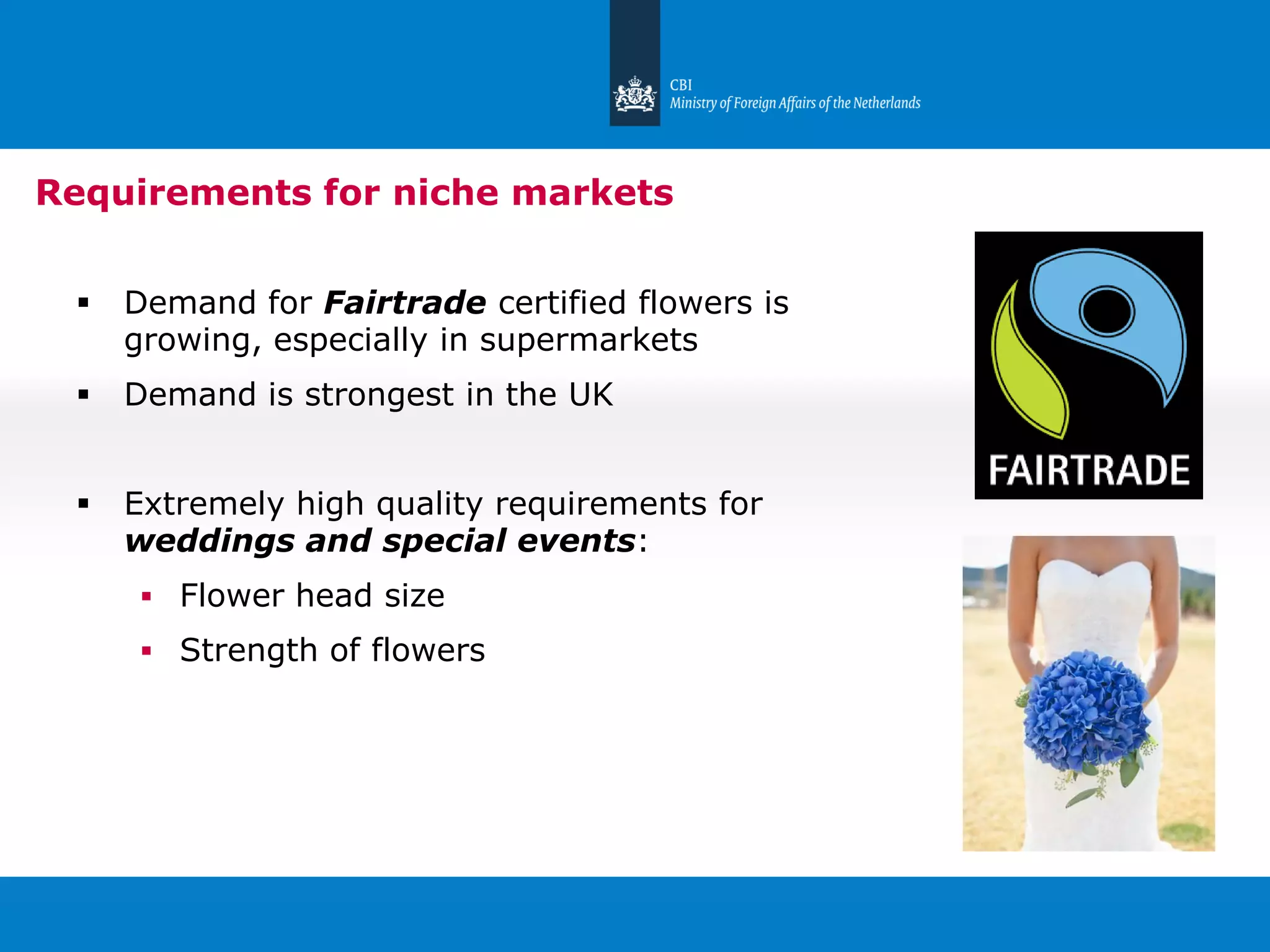 Slide 7
