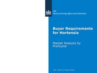 CBI - Ministry of Foreign Affairs
Buyer Requirements
for Hortensia
Market Analysis by
ProFound
 