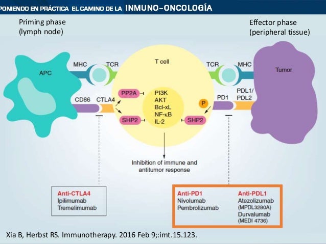 Difference between opdivo and keytruda