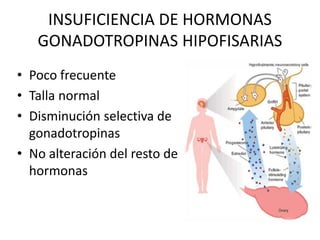 INSUFICIENCIA DE HORMONAS
GONADOTROPINAS HIPOFISARIAS
• Poco frecuente
• Talla normal
• Disminución selectiva de
gonadotropinas
• No alteración del resto de
hormonas
 