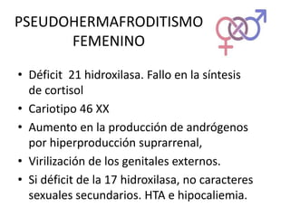 PSEUDOHERMAFRODITISMO
FEMENINO
• Déficit 21 hidroxilasa. Fallo en la síntesis
de cortisol
• Cariotipo 46 XX
• Aumento en la producción de andrógenos
por hiperproducción suprarrenal,
• Virilización de los genitales externos.
• Si déficit de la 17 hidroxilasa, no caracteres
sexuales secundarios. HTA e hipocaliemia.
 
