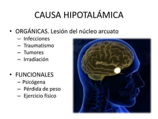 CAUSA HIPOTALÁMICA
• ORGÁNICAS. Lesión del núcleo arcuato
– Infecciones
– Traumatismo
– Tumores
– Irradiación
• FUNCIONALES
– Psicógena
– Pérdida de peso
– Ejercicio físico
 