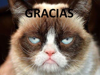GRACIAS
 