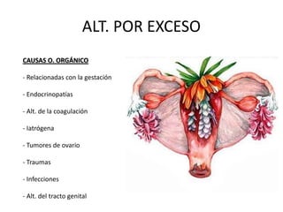 ALT. POR EXCESO
CAUSAS O. ORGÁNICO
- Relacionadas con la gestación
- Endocrinopatías
- Alt. de la coagulación
- Iatrógena
- Tumores de ovario
- Traumas
- Infecciones
- Alt. del tracto genital
 
