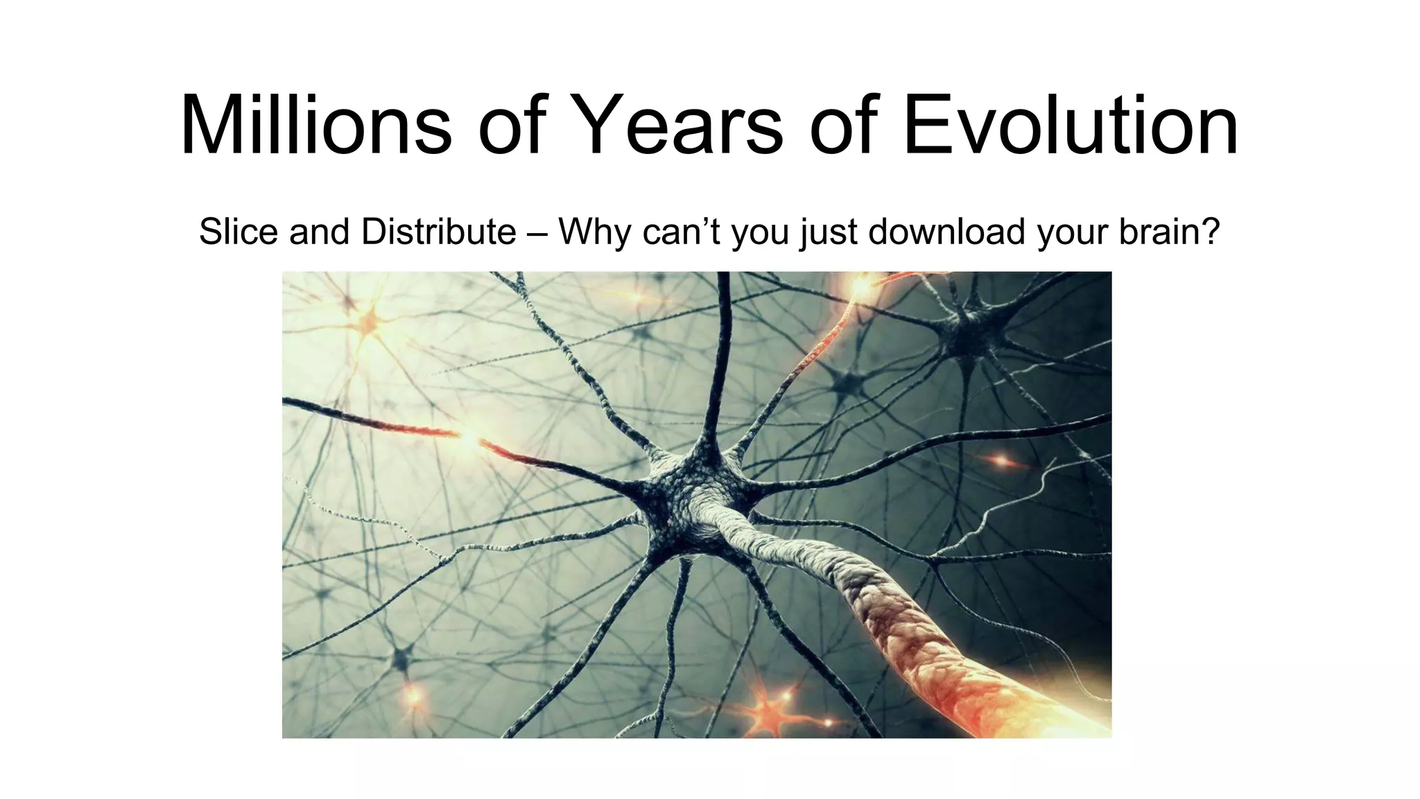 Millions of Years of Evolution
Slice and Distribute – Why can’t you just download your brain?
 