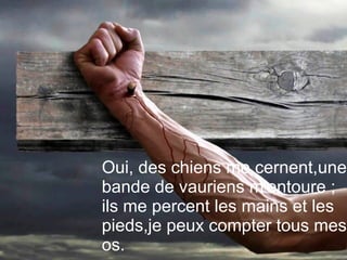 Oui, des chiens me cernent,une
bande de vauriens m'entoure ;
ils me percent les mains et les
pieds,je peux compter tous mes
os.
 