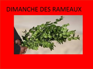 DIMANCHE DES RAMEAUX
 