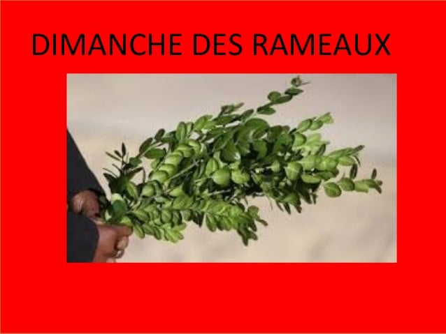 Dimanche Des Rameaux Dimanche Des Rameaux
