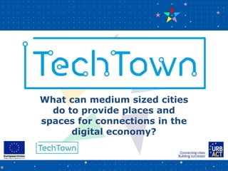 What can medium sized cities
do to provide places and
spaces for connections in the
digital economy?
 