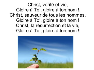 Christ, vérité et vie,
Gloire à Toi, gloire à ton nom !
Christ, sauveur de tous les hommes,
Gloire à Toi, gloire à ton nom !
Christ, la résurrection et la vie,
Gloire à Toi, gloire à ton nom !
 