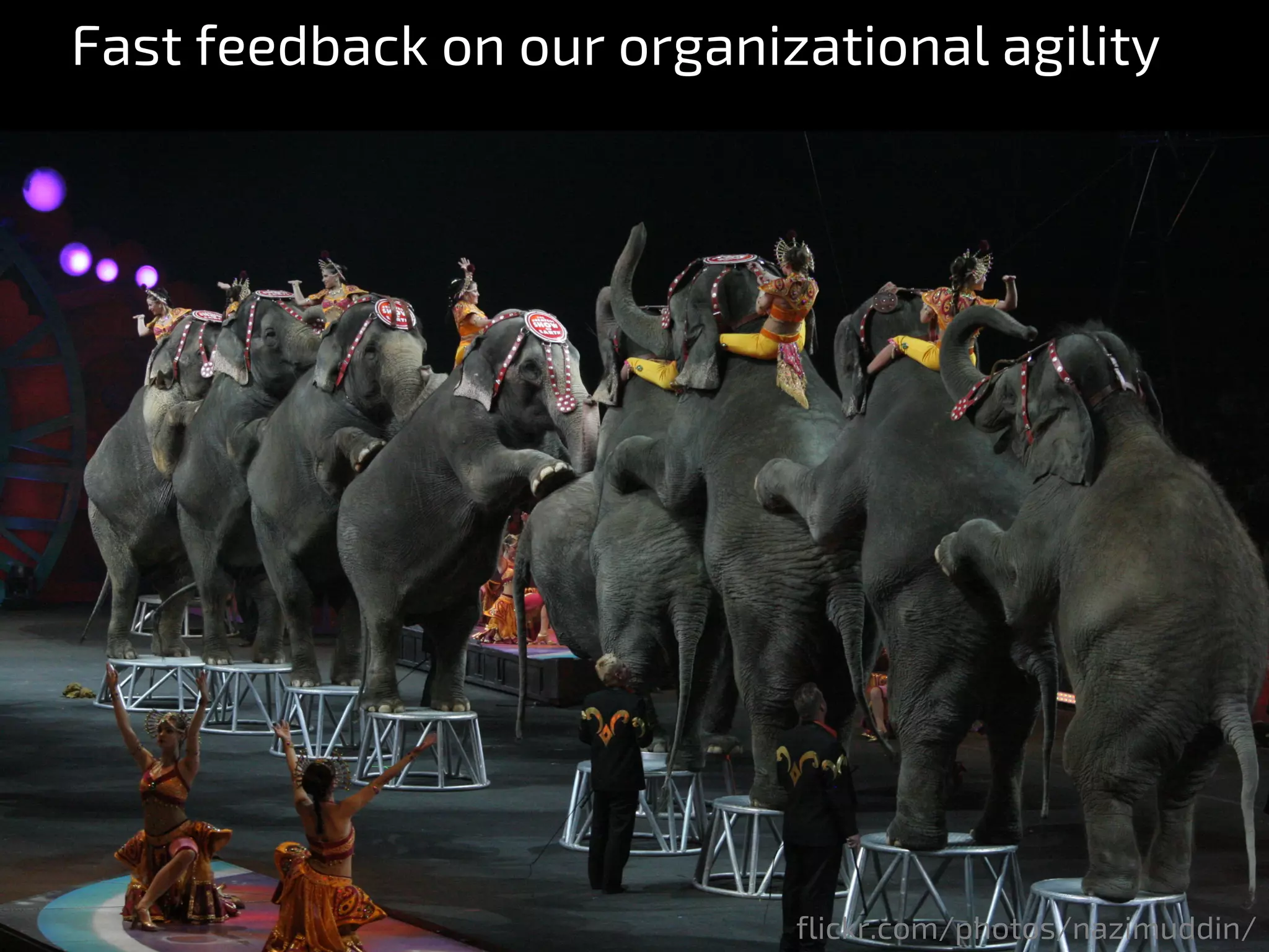 flickr.com/photos/nazimuddin/
Fast feedback on our organizational agility
 