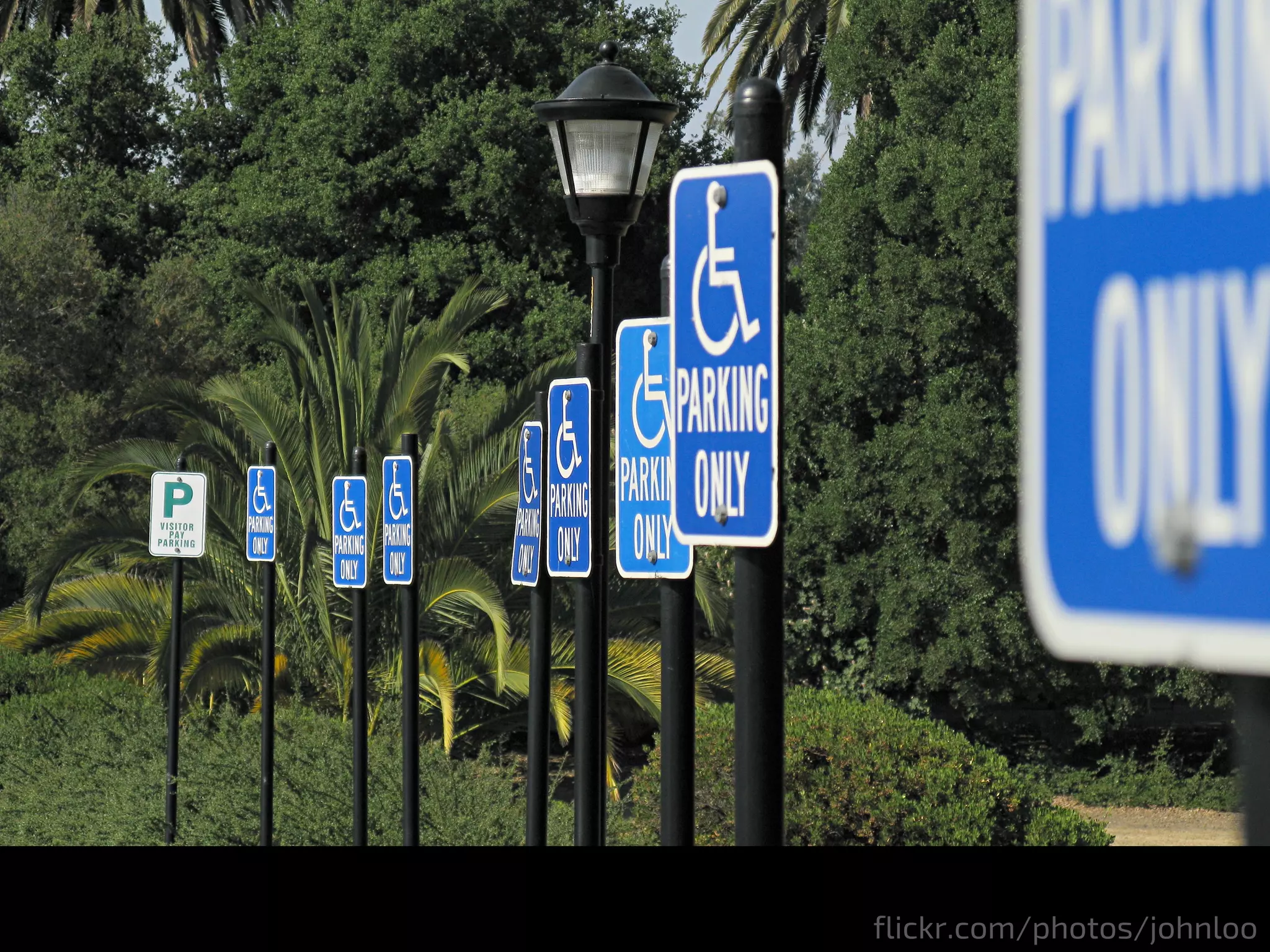 flickr.com/photos/johnloo
 