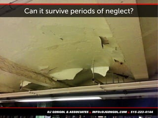 Can it survive periods of neglect?
 