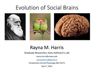 Evolution of Social Brains
Rayna M. Harris
Graduate Researcher, Hans Hofmann’s Lab
rayna.harris@utexas.edu
raynamharris@github.io
Comparative Animal Physiology (BIO 361T)
April 7, 2016 1
 