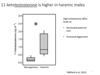 11-ketotestosterone is higher in haremic males
Monogamous Haremic
High testosterone often
leads to:
• Decreased paternal
c...