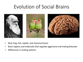 Evolution of Social Brains
• Bird, frog, fish, reptile, and mammal brains
• Brain regions and molecules that regulate aggr...
