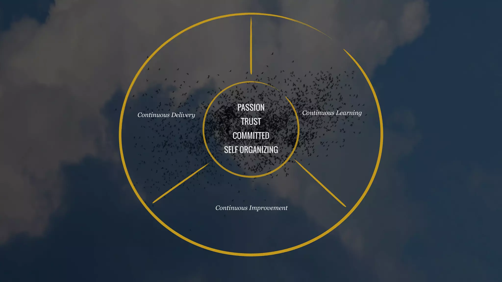 PASSION
TRUST
COMMITTED
SELF ORGANIZING
Continuous Delivery Continuous Learning
Continuous Improvement
 