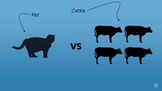 Pet
Cattle
 