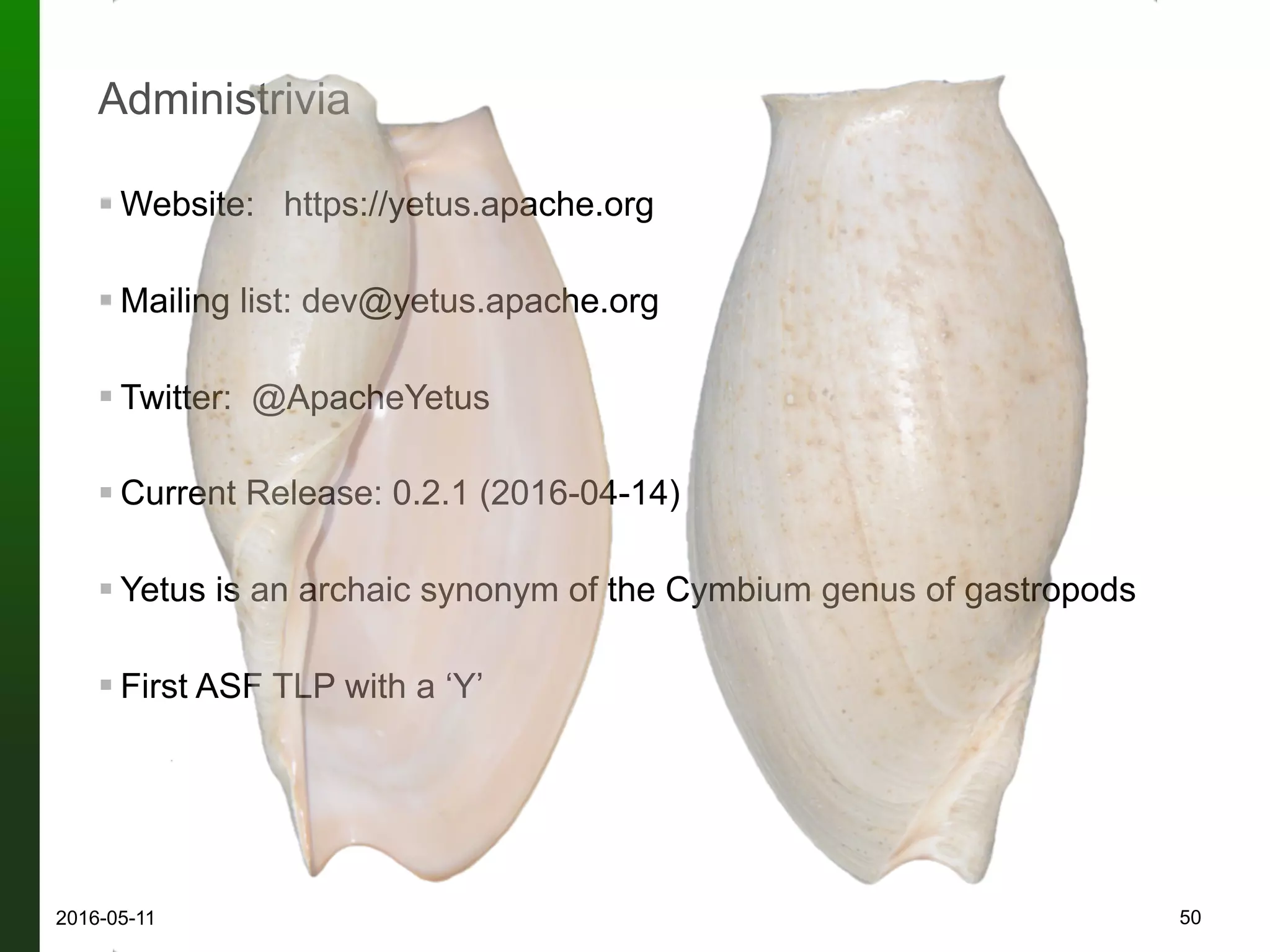 qbt (quality build tool)
 