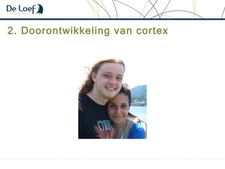 2. Doorontwikkeling van cortex
 