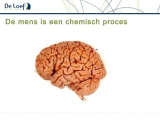 De mens is een chemisch proces
 