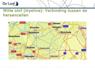 Witte stof (myeline): Verbinding tussen de
hersencellen
 