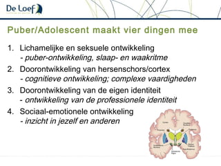 Puber/Adolescent maakt vier dingen mee
1. Lichamelijke en seksuele ontwikkeling
- puber-ontwikkeling, slaap- en waakritme
2. Doorontwikkeling van hersenschors/cortex
- cognitieve ontwikkeling; complexe vaardigheden
3. Doorontwikkeling van de eigen identiteit
- ontwikkeling van de professionele identiteit
4. Sociaal-emotionele ontwikkeling
- inzicht in jezelf en anderen
 