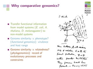 Why comparative genomics?
Transfer functional information
from model systems (E. coli, A.
thaliana, D. melanogaster) to
no...