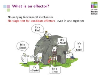 What is an eﬀector?
No unifying biochemical mechanism
No single test for ‘candidate eﬀectors’, even in one organism
 