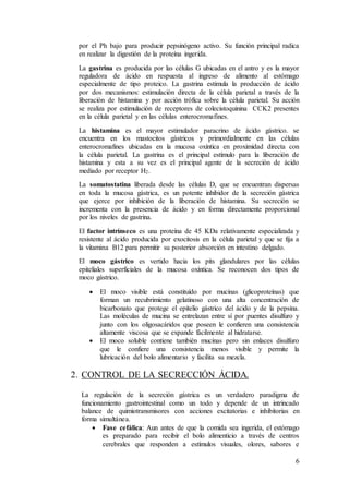 6
por el Ph bajo para producir pepsinógeno activo. Su función principal radica
en realizar la digestión de la proteína ingerida.
La gastrina es producida por las células G ubicadas en el antro y es la mayor
reguladora de ácido en respuesta al ingreso de alimento al estómago
especialmente de tipo proteico. La gastrina estimula la producción de ácido
por dos mecanismos: estimulación directa de la célula parietal a través de la
liberación de histamina y por acción trófica sobre la célula parietal. Su acción
se realiza por estimulación de receptores de colecistoquinina CCK2 presentes
en la célula parietal y en las células enterocromafines.
La histamina es el mayor estimulador paracrino de ácido gástrico. se
encuentra en los mastocitos gástricos y primordialmente en las células
enterocromafines ubicadas en la mucosa oxíntica en proximidad directa con
la célula parietal. La gastrina es el principal estímulo para la liberación de
histamina y esta a su vez es el principal agente de la secreción de ácido
mediado por receptor H2.
La somatostatina liberada desde las células D, que se encuentran dispersas
en toda la mucosa gástrica, es un potente inhibidor de la secreción gástrica
que ejerce por inhibición de la liberación de histamina. Su secreción se
incrementa con la presencia de ácido y en forma directamente proporcional
por los niveles de gastrina.
El factor intrínseco es una proteína de 45 KDa relativamente especializada y
resistente al ácido producida por exocitosis en la célula parietal y que se fija a
la vitamina B12 para permitir su posterior absorción en intestino delgado.
El moco gástrico es vertido hacia los pits glandulares por las células
epiteliales superficiales de la mucosa oxíntica. Se reconocen dos tipos de
moco gástrico.
 El moco visible está constituído por mucinas (glicoproteínas) que
forman un recubrimiento gelatinoso con una alta concentración de
bicarbonato que protege el epitelio gástrico del ácido y de la pepsina.
Las moléculas de mucina se entrelazan entre sí por puentes disulfuro y
junto con los oligosacáridos que poseen le confieren una consistencia
altamente viscosa que se expande fácilmente al hidratarse.
 El moco soluble contiene también mucinas pero sin enlaces disulfuro
que le confiere una consistencia menos visible y permite la
lubricación del bolo alimentario y facilita su mezcla.
2. CONTROL DE LA SECRECCIÓN ÁCIDA.
La regulación de la secreción gástrica es un verdadero paradigma de
funcionamiento gastrointestinal como un todo y depende de un intrincado
balance de quimiotransmisores con acciones excitatorias e inhibitorias en
forma simultánea.
 Fase cefálica: Aun antes de que la comida sea ingerida, el estómago
es preparado para recibir el bolo alimenticio a través de centros
cerebrales que responden a estímulos visuales, olores, sabores e
 