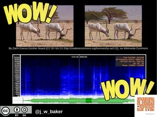 By Zachi Evenor,Günther Noack [CC BY-SA 3.0 (http://creativecommons.org/licenses/by-sa/3.0)], via Wikimedia Commons
@j_w_baker
 