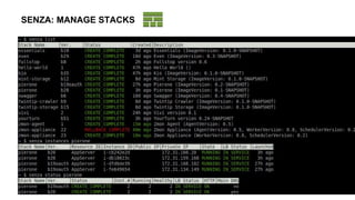 SENZA: MANAGE STACKS
 