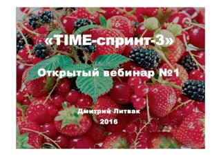 «TIME-спринт-3»
Открытый вебинар №1
Дмитрий Литвак
2016
 