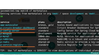 © 2016 Pivotal Software, Inc. All rights reserved.
 