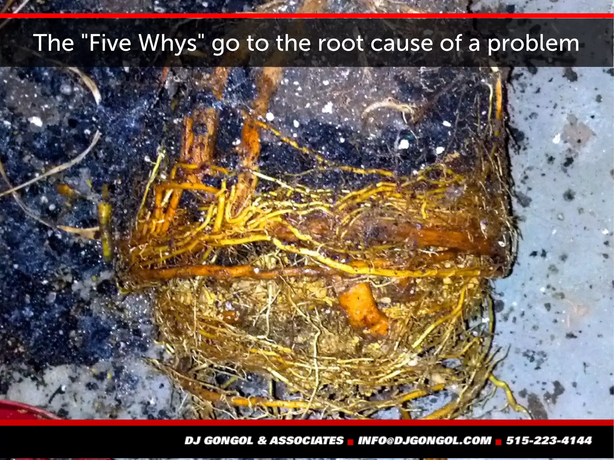 Once you find a problem, trace the cause
 