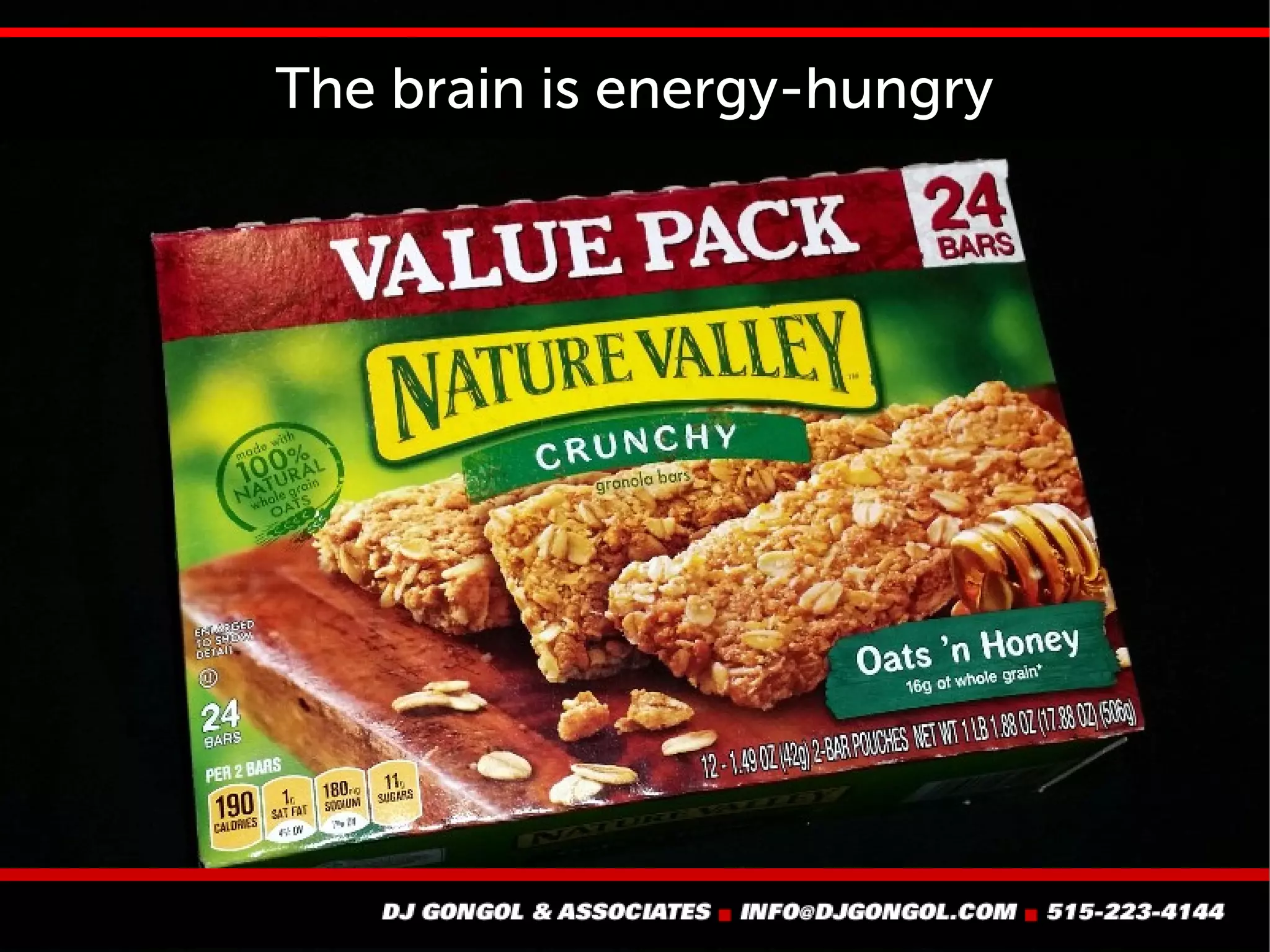 The brain is energy-hungry
 