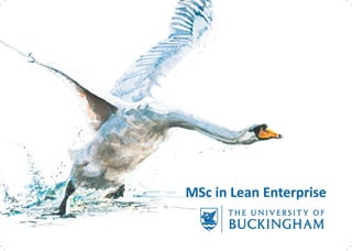 2016-06 MSc LEAN Enterprise Buckingham University Michel Berthus ok