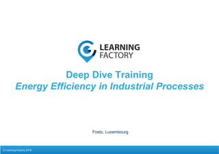 Deep Dive Training
Energy Efficiency in Industrial Processes
Foetz, Luxembourg
© Learning Factory 2016
 