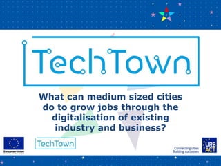 What can medium sized cities
do to grow jobs through the
digitalisation of existing
industry and business?
 