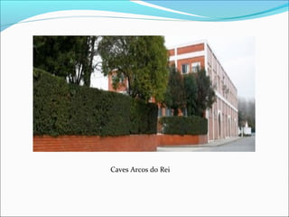 Caves Arcos do Rei
 