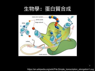 5
生物學：蛋白質合成
https://en.wikipedia.org/wiki/File:Simple_transcription_elongation1.svg
 