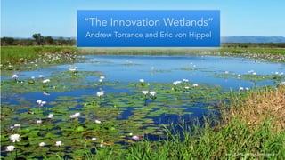 “The Innovation Wetlands”
Andrew Torrance and Eric von Hippel
www.rhodeislandpropertylaw.com
 