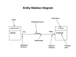 Entity Relation Diagram
 