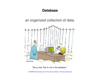 an organized collection of data.
Database
 