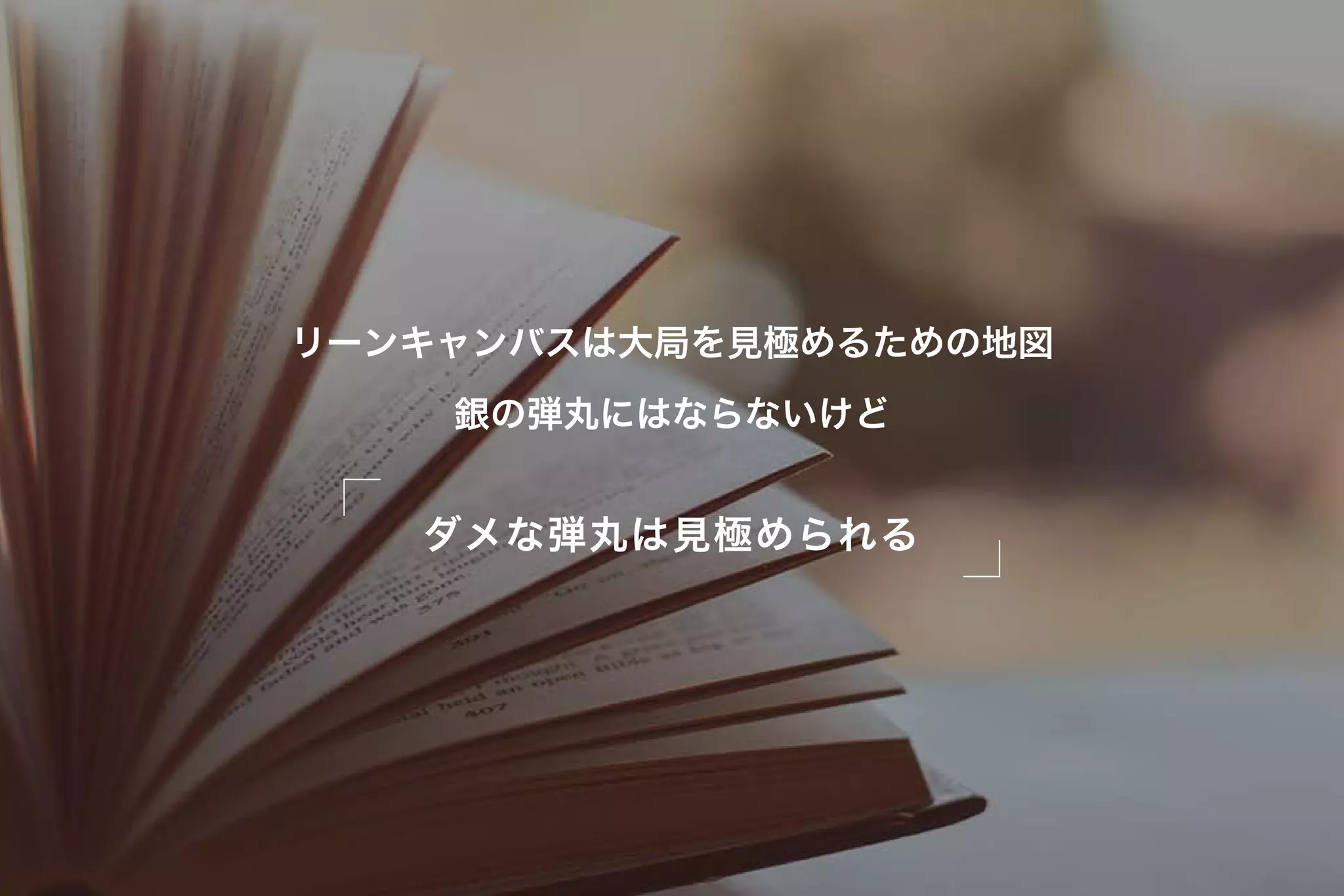ダメな弾丸は見極められる
リーンキャンバスは大局を見極めるための地図
銀の弾丸にはならないけど
 
