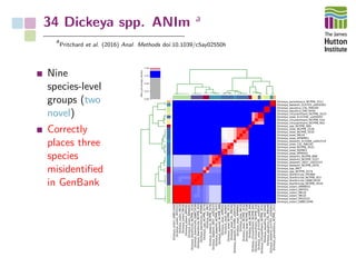 34 Dickeya spp. ANIm a
a
Pritchard et al. (2016) Anal. Methods doi:10.1039/c5ay02550h
Nine
species-level
groups (two
novel)
Correctly
places three
species
misidentiﬁed
in GenBank
Dickeya_solani_GBBC2040
Dickeya_solani_IPO2222
Dickeya_solani_MK10
Dickeya_solani_MK16
Dickeya_solani_AMYI01
Dickeya_solani_AMWE01
Dickeya_dianthicola_NCPPB_3534
Dickeya_dianthicola_GBBC2039
Dickeya_dianthicola_NCPPB_453
Dickeya_dianthicola_IPO980
Dickeya_spp_NCPPB_3274
Dickeya_spp_MK7
Dickeya_dadantii_NCPPB_2976
Dickeya_dadantii_3937_uid52537
Dickeya_dadantii_NCPPB_3537
Dickeya_dadantii_NCPPB_898
Dickeya_zeae_APMV01
Dickeya_zeae_AJVN01
Dickeya_zeae_NCPPB_3531
Dickeya_zeae_CSL_RW192
Dickeya_dadantii_Ech586_uid42519
Dickeya_zeae_APWM01
Dickeya_zeae_MK19
Dickeya_zeae_NCPPB_3532
Dickeya_zeae_NCPPB_2538
Dickeya_spp_NCPPB_569
Dickeya_chrysanthami_NCPPB_402
Dickeya_chrysanthami_NCPPB_516
Dickeya_zeae_Ech1591_uid59297
Dickeya_chrysanthami_NCPPB_3533
Dickeya_aquatica_DW_0440
Dickeya_aquatica_CSL_RW240
Dickeya_dadantii_Ech703_uid59363
Dickeya_paradisiaca_NCPPB_2511
Dickeya_solani_GBBC2040
Dickeya_solani_IPO2222
Dickeya_solani_MK10
Dickeya_solani_MK16
Dickeya_solani_AMYI01
Dickeya_solani_AMWE01
Dickeya_dianthicola_NCPPB_3534
Dickeya_dianthicola_GBBC2039
Dickeya_dianthicola_NCPPB_453
Dickeya_dianthicola_IPO980
Dickeya_spp_NCPPB_3274
Dickeya_spp_MK7
Dickeya_dadantii_NCPPB_2976
Dickeya_dadantii_3937_uid52537
Dickeya_dadantii_NCPPB_3537
Dickeya_dadantii_NCPPB_898
Dickeya_zeae_APMV01
Dickeya_zeae_AJVN01
Dickeya_zeae_NCPPB_3531
Dickeya_zeae_CSL_RW192
Dickeya_dadantii_Ech586_uid42519
Dickeya_zeae_APWM01
Dickeya_zeae_MK19
Dickeya_zeae_NCPPB_3532
Dickeya_zeae_NCPPB_2538
Dickeya_spp_NCPPB_569
Dickeya_chrysanthami_NCPPB_402
Dickeya_chrysanthami_NCPPB_516
Dickeya_zeae_Ech1591_uid59297
Dickeya_chrysanthami_NCPPB_3533
Dickeya_aquatica_DW_0440
Dickeya_aquatica_CSL_RW240
Dickeya_dadantii_Ech703_uid59363
Dickeya_paradisiaca_NCPPB_2511
0.00
0.25
0.50
0.75
1.00
ANIm_percentage_identity
 