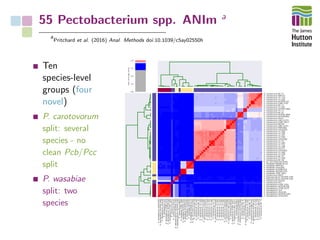 55 Pectobacterium spp. ANIm a
a
Pritchard et al. (2016) Anal. Methods doi:10.1039/c5ay02550h
Ten
species-level
groups (four
novel)
P. carotovorum
split: several
species - no
clean Pcb/Pcc
split
P. wasabiae
split: two
species
P. atrosepticum SCRI1043
P. atrosepticum NCPPB 3404
P. atrosepticum JG10­08
P. atrosepticum 21A
P. atrosepticum CFBP 6276
P. atrosepticum NCPPB 549
P. atrosepticum ICMP 1526
P. carotovorum PC1
P. carotovorum UGC32
P. betavasculorum NCPPB 2793
P. betavasculorum NCPPB 2795
P. carotovorum M022
P. wasabiae CFBP 3304
P. wasabiae NCPPB 3701
P. wasabiae NCPPB3702
P. wasabiae CFIA1002
P. wasabiae WPP163
P. wasabiae RNS08.42.1A
P. sp. SCC3193 SCC3193
P. carotovorum BC D6
P. carotovorum YC D49
P. carotovorum BC S2
P. carotovorum YC D29
P. carotovorum YC D65
P. carotovorum CFIA1001
P. carotovorum PCC21
P. carotovorum YC D46
P. carotovorum YC T31
P. carotovorum YC D62
P. carotovorum YC T3
P. carotovorum CFIA1009
P. carotovorum YC D52
P. carotovorum YC D21
P. carotovorum YC D64
P. carotovorum YC D60
P. carotovorum CFIA1033
P. carotovorum PBR1692
P. carotovorum LMG 21371
P. carotovorum BD255
P. carotovorum ICMP 19477
P. carotovorum LMG 21372
P. carotovorum KKH3
P. carotovorum NCPPB3841
P. carotovorum NCPPB 3839
P. carotovorum BC S7
P. carotovorum YC T1
P. carotovorum NCPPB 3395
P. carotovorum YC D57
P. carotovorum BC T2
P. carotovorum ICMP 5702
P. carotovorum NCPPB 312
P. carotovorum YC D16
P. carotovorum YC T39
P. carotovorum WPP14
P. carotovorum BC T5
P. atrosepticum SCRI1043
P. atrosepticum NCPPB 3404
P. atrosepticum JG10­08
P. atrosepticum 21A
P. atrosepticum CFBP 6276
P. atrosepticum NCPPB 549
P. atrosepticum ICMP 1526
P. carotovorum PC1
P. carotovorum UGC32
P. betavasculorum NCPPB 2793
P. betavasculorum NCPPB 2795
P. carotovorum M022
P. wasabiae CFBP 3304
P. wasabiae NCPPB 3701
P. wasabiae NCPPB3702
P. wasabiae CFIA1002
P. wasabiae WPP163
P. wasabiae RNS08.42.1A
P. sp. SCC3193 SCC3193
P. carotovorum BC D6
P. carotovorum YC D49
P. carotovorum BC S2
P. carotovorum YC D29
P. carotovorum YC D65
P. carotovorum CFIA1001
P. carotovorum PCC21
P. carotovorum YC D46
P. carotovorum YC T31
P. carotovorum YC D62
P. carotovorum YC T3
P. carotovorum CFIA1009
P. carotovorum YC D52
P. carotovorum YC D21
P. carotovorum YC D64
P. carotovorum YC D60
P. carotovorum CFIA1033
P. carotovorum PBR1692
P. carotovorum LMG 21371
P. carotovorum BD255
P. carotovorum ICMP 19477
P. carotovorum LMG 21372
P. carotovorum KKH3
P. carotovorum NCPPB3841
P. carotovorum NCPPB 3839
P. carotovorum BC S7
P. carotovorum YC T1
P. carotovorum NCPPB 3395
P. carotovorum YC D57
P. carotovorum BC T2
P. carotovorum ICMP 5702
P. carotovorum NCPPB 312
P. carotovorum YC D16
P. carotovorum YC T39
P. carotovorum WPP14
P. carotovorum BC T5
0.00
0.25
0.50
0.75
1.00
ANIm_percentage_identity
 