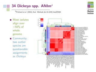 34 Dickeya spp. ANIma
a
Pritchard et al. (2016) Anal. Methods doi:10.1039/c5ay02550h
Most isolates
align over
>50% of
whole
genome
Community:
two outlier
species are
questionable
assignments
as Dickeya
Dickeya_dadantii_Ech703_uid59363
Dickeya_paradisiaca_NCPPB_2511
Dickeya_aquatica_DW_0440
Dickeya_aquatica_CSL_RW240
Dickeya_solani_MK10
Dickeya_solani_AMYI01
Dickeya_solani_AMWE01
Dickeya_solani_MK16
Dickeya_solani_GBBC2040
Dickeya_solani_IPO2222
Dickeya_dianthicola_NCPPB_453
Dickeya_dianthicola_GBBC2039
Dickeya_dianthicola_IPO980
Dickeya_dianthicola_NCPPB_3534
Dickeya_dadantii_NCPPB_2976
Dickeya_dadantii_3937_uid52537
Dickeya_spp_NCPPB_3274
Dickeya_spp_MK7
Dickeya_dadantii_NCPPB_3537
Dickeya_dadantii_NCPPB_898
Dickeya_zeae_APMV01
Dickeya_zeae_AJVN01
Dickeya_zeae_APWM01
Dickeya_dadantii_Ech586_uid42519
Dickeya_zeae_CSL_RW192
Dickeya_zeae_NCPPB_3532
Dickeya_zeae_NCPPB_2538
Dickeya_zeae_NCPPB_3531
Dickeya_zeae_MK19
Dickeya_spp_NCPPB_569
Dickeya_chrysanthami_NCPPB_402
Dickeya_chrysanthami_NCPPB_516
Dickeya_zeae_Ech1591_uid59297
Dickeya_chrysanthami_NCPPB_3533
Dickeya_dadantii_Ech703_uid59363
Dickeya_paradisiaca_NCPPB_2511
Dickeya_aquatica_DW_0440
Dickeya_aquatica_CSL_RW240
Dickeya_dianthicola_GBBC2039
Dickeya_dianthicola_NCPPB_3534
Dickeya_dianthicola_NCPPB_453
Dickeya_dianthicola_IPO980
Dickeya_solani_GBBC2040
Dickeya_solani_IPO2222
Dickeya_solani_MK10
Dickeya_solani_MK16
Dickeya_solani_AMYI01
Dickeya_solani_AMWE01
Dickeya_dadantii_NCPPB_3537
Dickeya_dadantii_NCPPB_898
Dickeya_spp_NCPPB_3274
Dickeya_spp_MK7
Dickeya_dadantii_NCPPB_2976
Dickeya_dadantii_3937_uid52537
Dickeya_zeae_APMV01
Dickeya_zeae_AJVN01
Dickeya_dadantii_Ech586_uid42519
Dickeya_zeae_APWM01
Dickeya_zeae_MK19
Dickeya_zeae_NCPPB_3532
Dickeya_zeae_NCPPB_2538
Dickeya_zeae_NCPPB_3531
Dickeya_zeae_CSL_RW192
Dickeya_spp_NCPPB_569
Dickeya_zeae_Ech1591_uid59297
Dickeya_chrysanthami_NCPPB_3533
Dickeya_chrysanthami_NCPPB_402
Dickeya_chrysanthami_NCPPB_516
0.00
0.25
0.50
0.75
1.00
ANIm_alignment_coverage
 