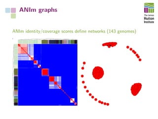 ANIm graphs
ANIm identity/coverage scores deﬁne networks (143 genomes)
 