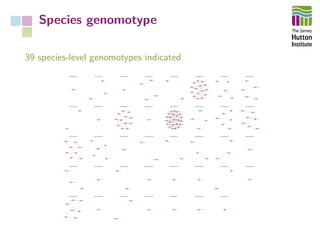 Species genomotype
39 species-level genomotypes indicated
 
